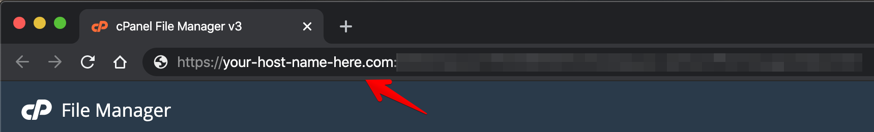 Host name